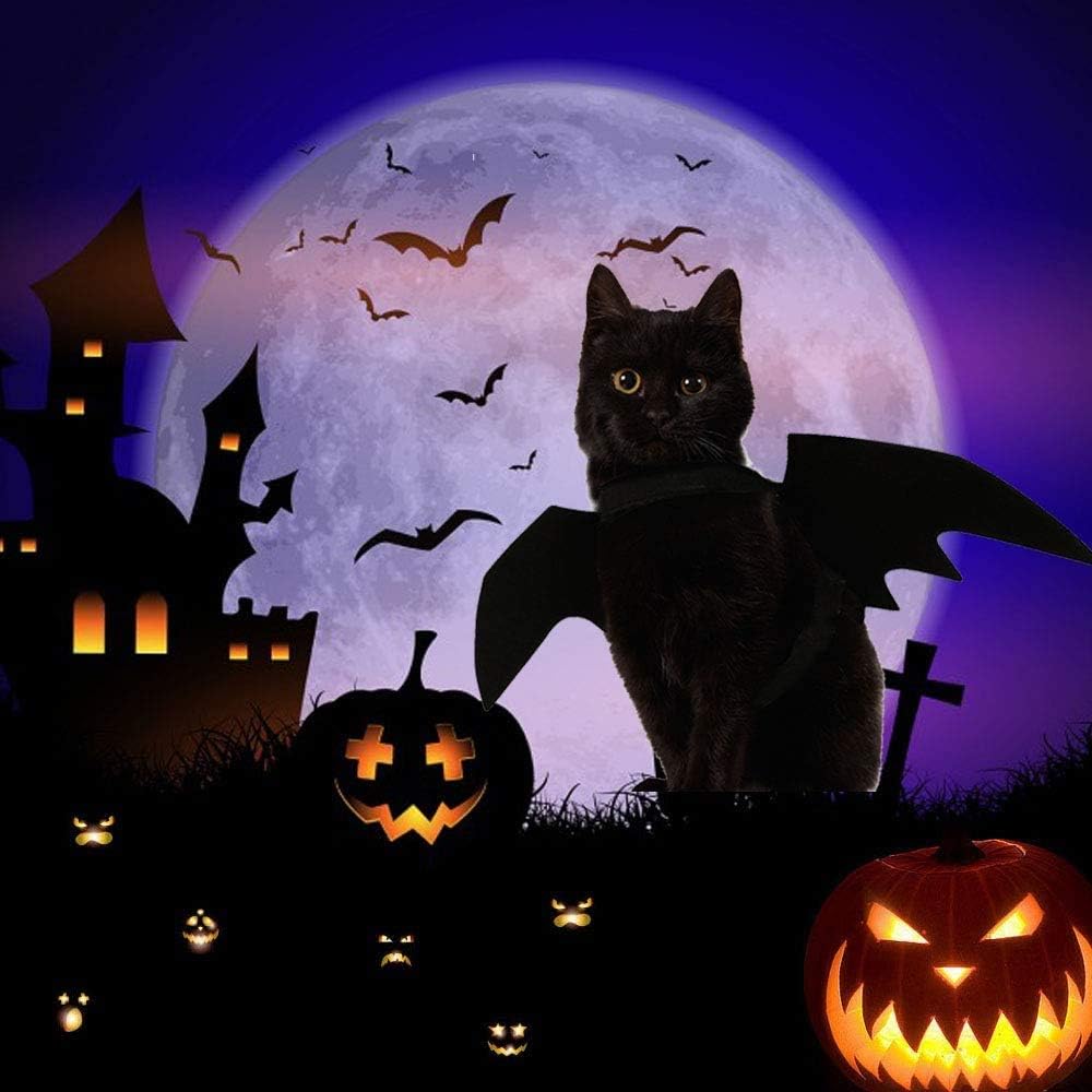 Cat Halloween Costume Bat Wings – Pet Cosplay Outfit for Cats & Dogs Queenkong
