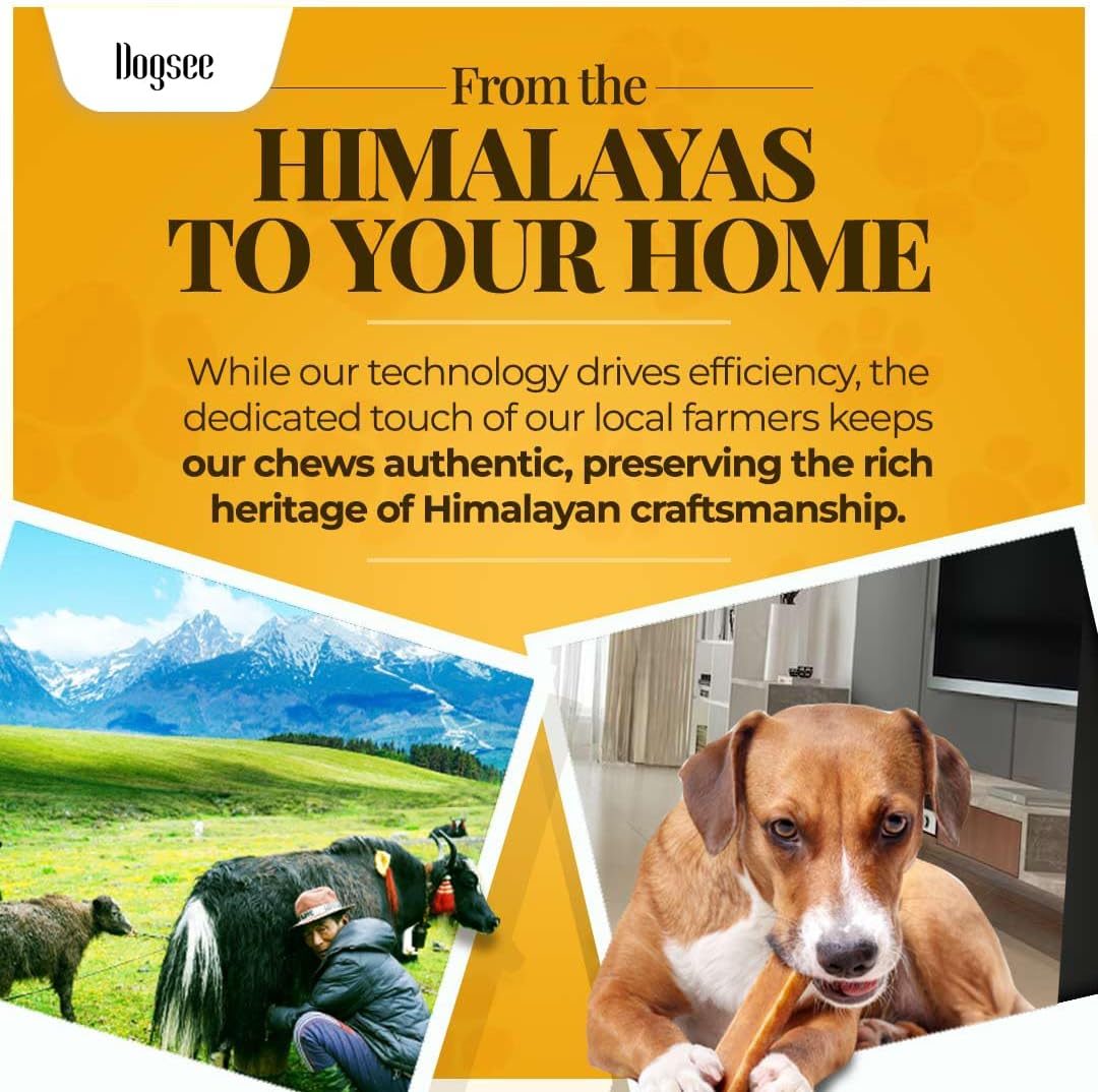 Dogsee Himalayan Yak Chews