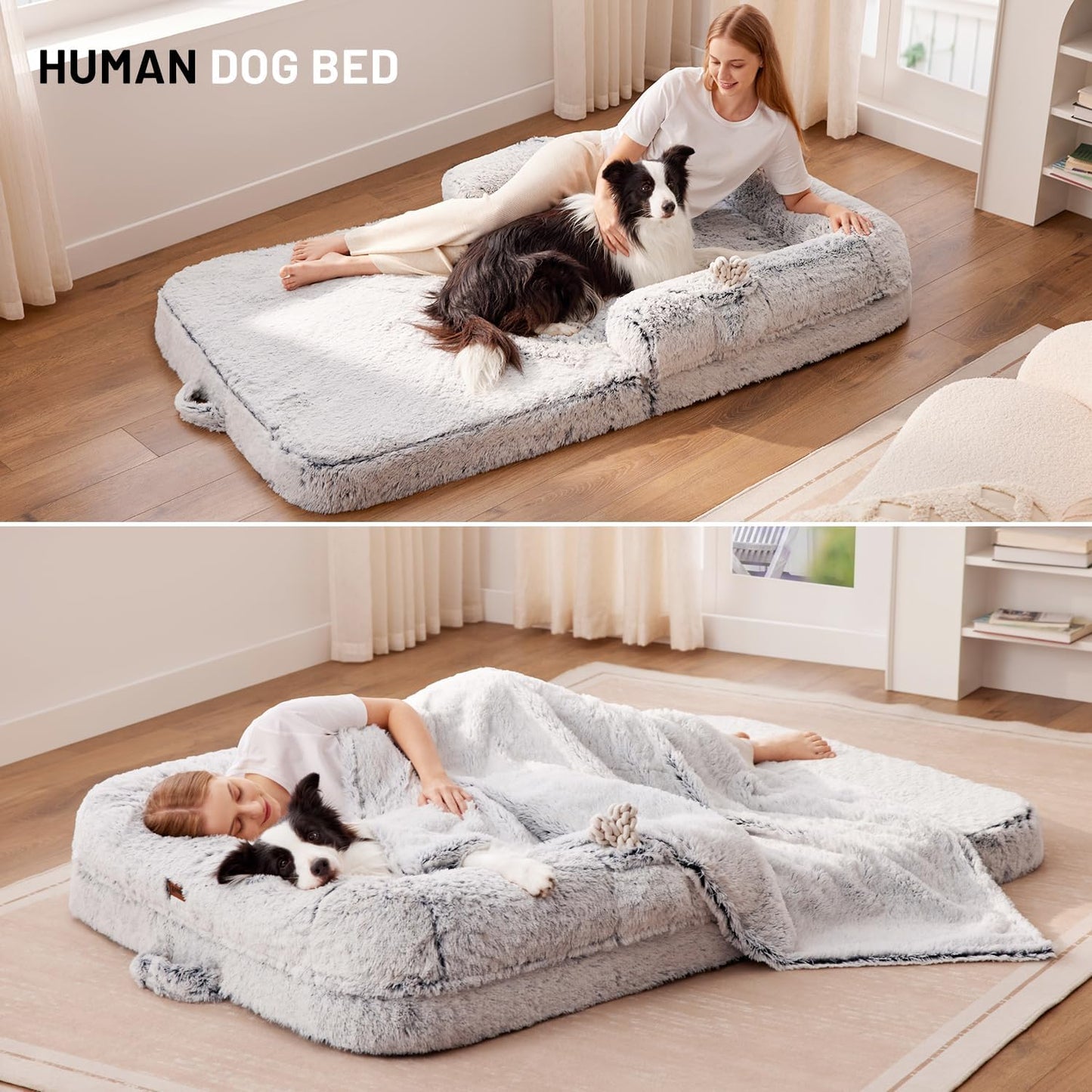 human and dog
