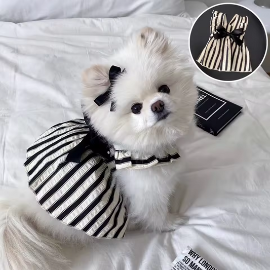 Striped Princess Dog Dress – Cute Bow Outfit for Small Dogs Queenkong