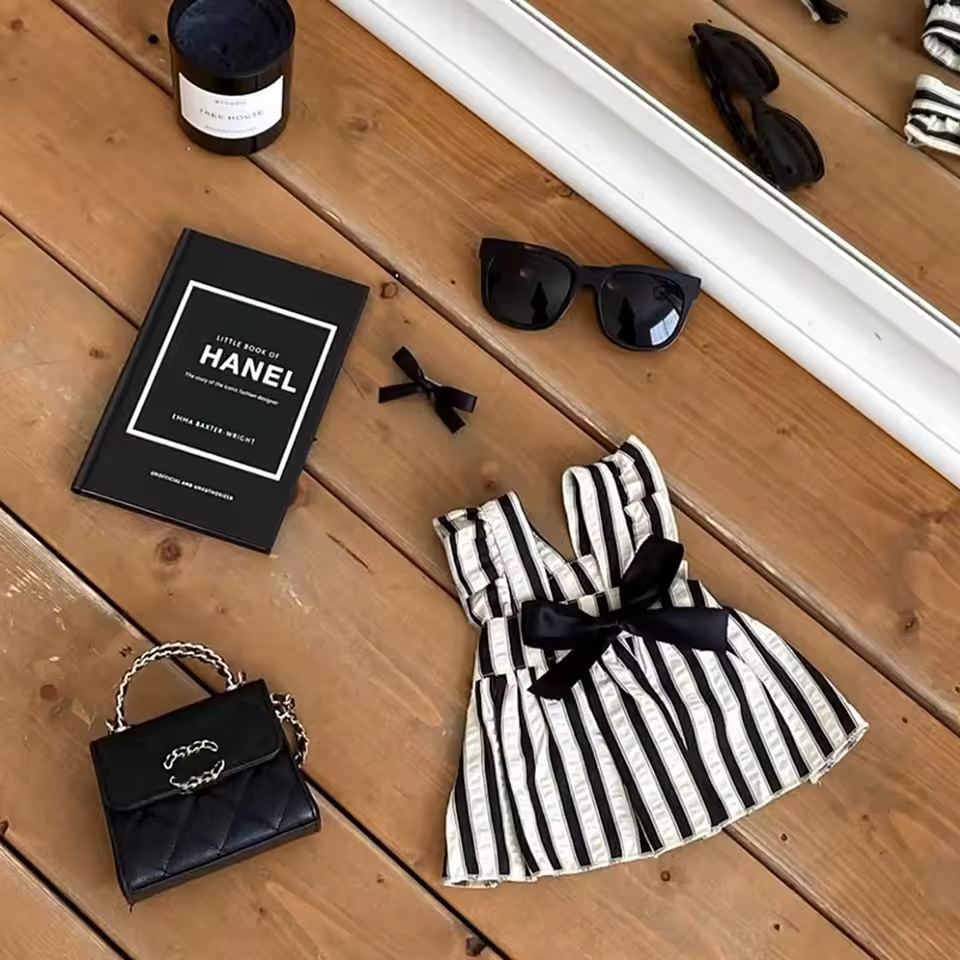 Striped Princess Dog Dress – Cute Bow Outfit for Small Dogs Queenkong