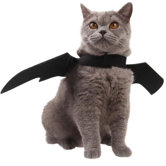 Cat Halloween Costume Bat Wings – Pet Cosplay Outfit for Cats & Dogs Queenkong