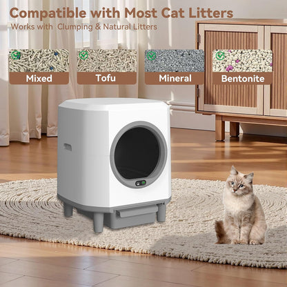 Cat Self Cleaning Litter Box – Smart Automatic Litter Box with APP Control Queenkong