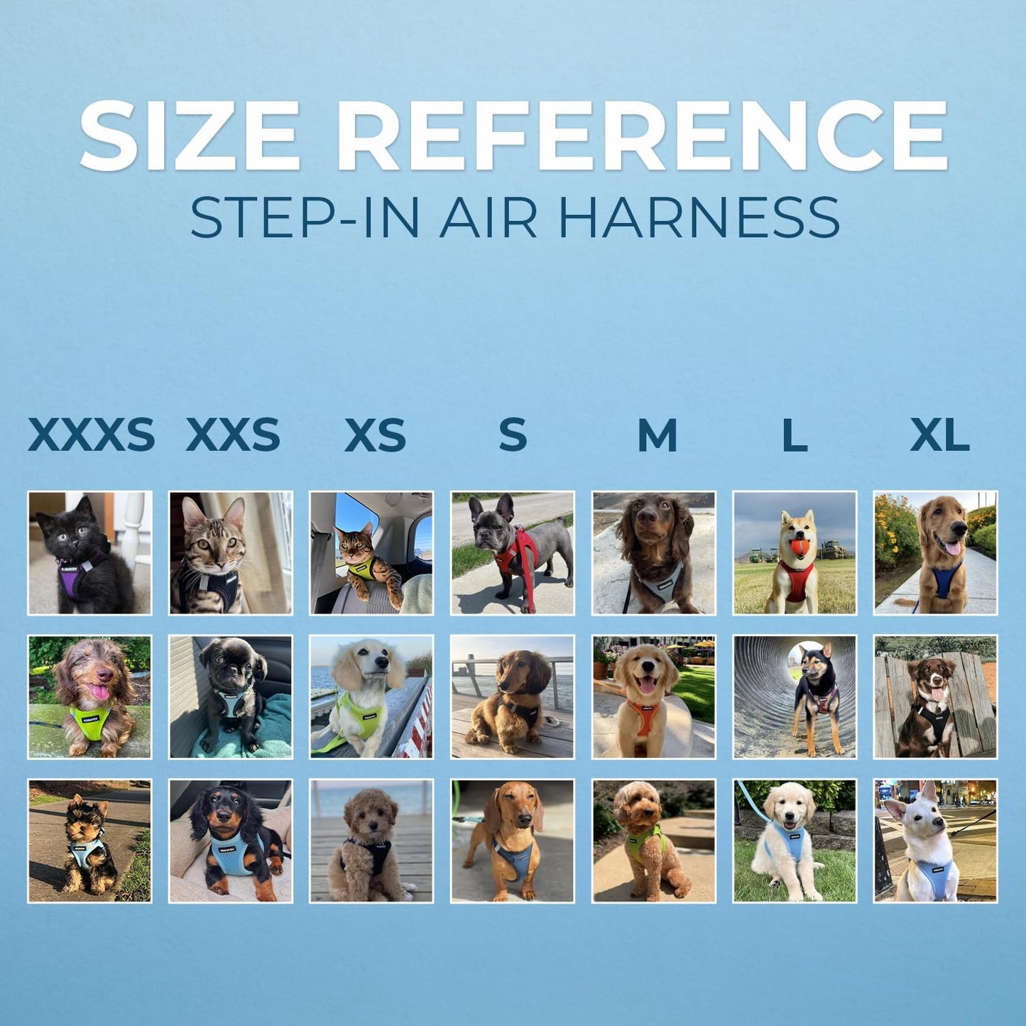 Dog Harness for Small Dogs – Voyager Step-in Air Mesh Vest Harness Queenkong