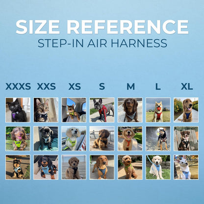 Dog Harness for Small Dogs – Voyager Step-in Air Mesh Vest Harness Queenkong