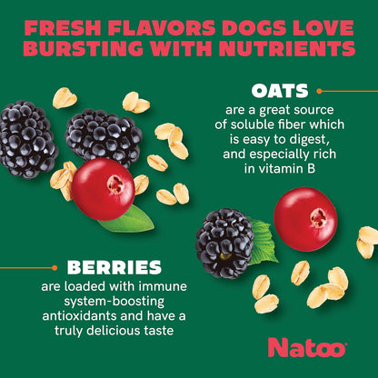 Healthy Dog Treats with Oats & Berries