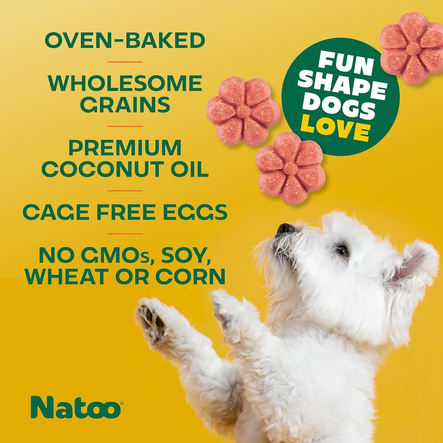 Healthy Dog Treats with Oats & Berries