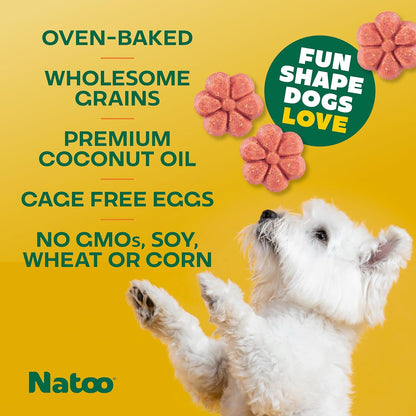 Healthy Dog Treats with Oats & Berries
