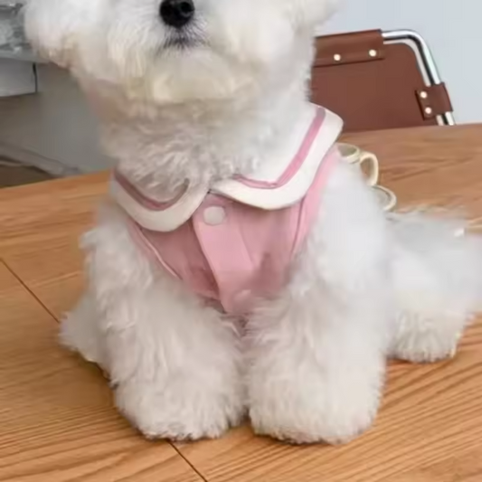 Small & Medium Dog Sweatshirt – Soft Casual Puppy Clothes Queenkong