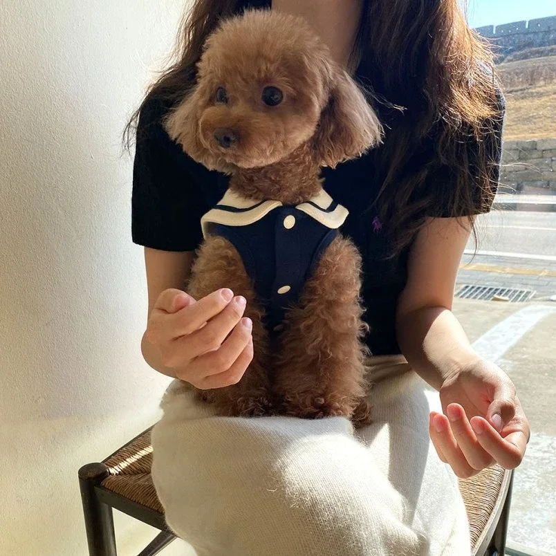 Small & Medium Dog Sweatshirt – Soft Casual Puppy Clothes Queenkong