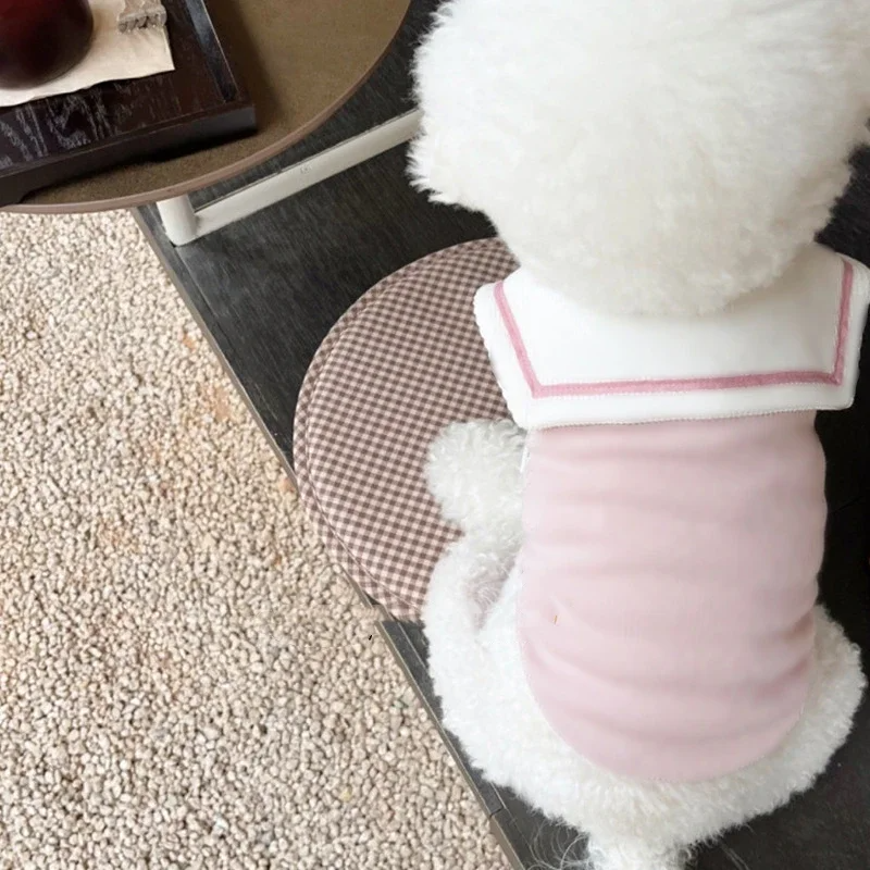 Small & Medium Dog Sweatshirt – Soft Casual Puppy Clothes Queenkong