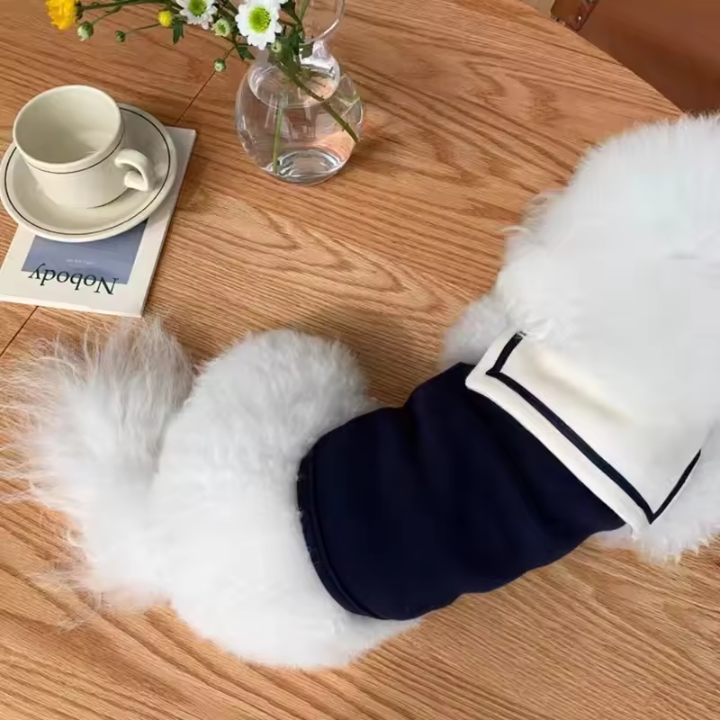 Small & Medium Dog Sweatshirt – Soft Casual Puppy Clothes Queenkong
