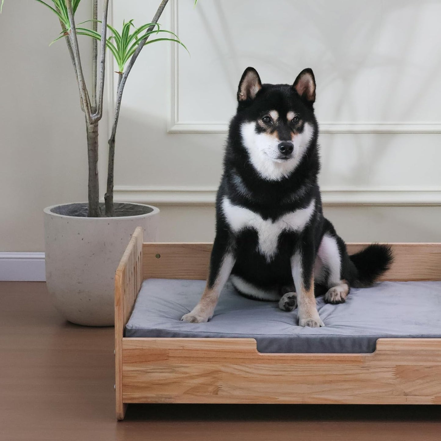 Wooden Pet Sofa – Stylish Dog Bed with Washable Cushion for Small & Medium Dogs Queenkong