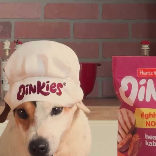 Hearty Kabobs Dog Chews