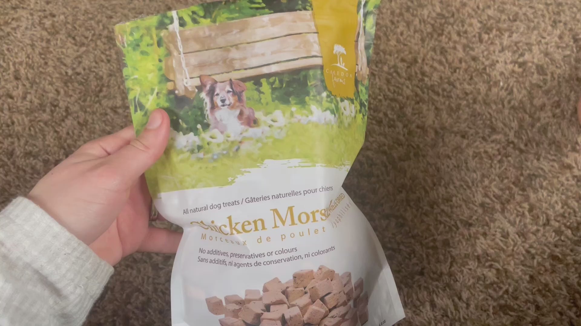 Freeze Dried Dog Treats